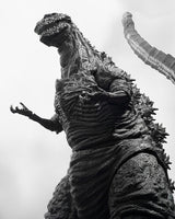 Shin Godzilla: ORTHO! - S.H.MonsterArts - GODZILLA [2016] THE FOURTH ORTHOchromatic Ver.